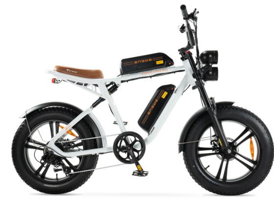 ENGWE M20